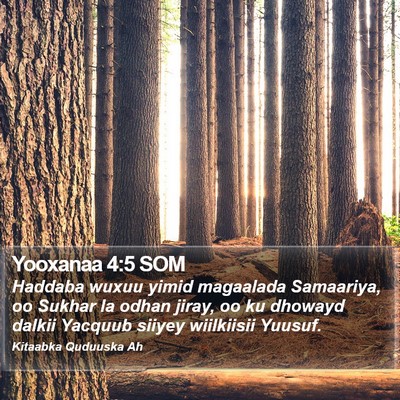 Yooxanaa 4:5 SOM Bible Verse Image