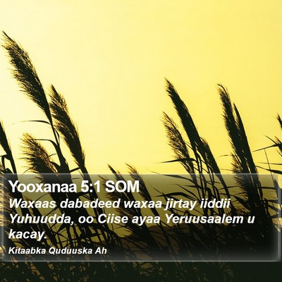 Yooxanaa 5:1 SOM Bible Verse Image