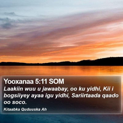 Yooxanaa 5:11 SOM Bible Verse Image