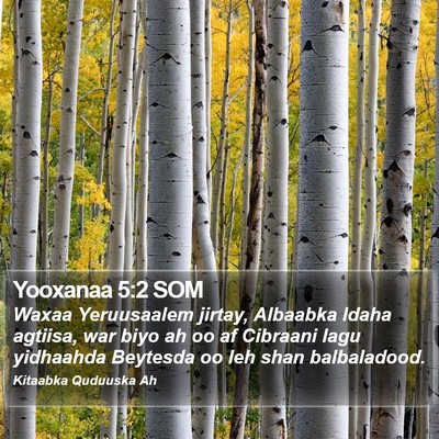 Yooxanaa 5:2 SOM Bible Verse Image