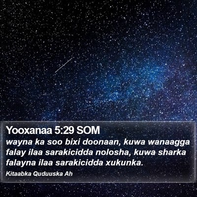 Yooxanaa 5:29 SOM Bible Verse Image