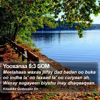 Yooxanaa 5:3 SOM Bible Verse Image