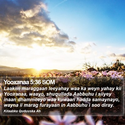 Yooxanaa 5:36 SOM Bible Verse Image