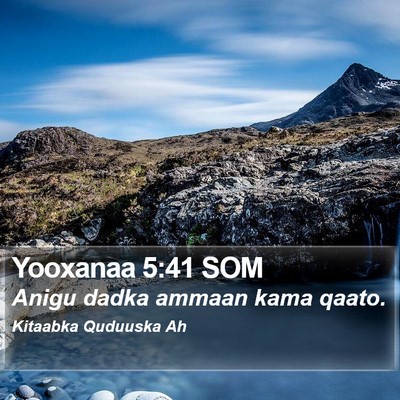 Yooxanaa 5:41 SOM Bible Verse Image