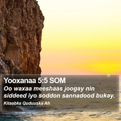 Yooxanaa 5:5 SOM Bible Verse Image
