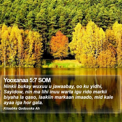 Yooxanaa 5:7 SOM Bible Verse Image