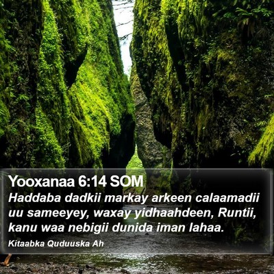 Yooxanaa 6:14 SOM Bible Verse Image