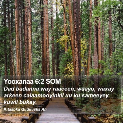 Yooxanaa 6:2 SOM Bible Verse Image