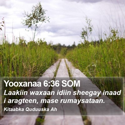 Yooxanaa 6:36 SOM Bible Verse Image