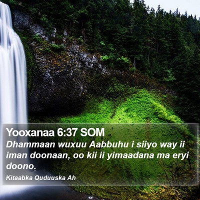 Yooxanaa 6:37 SOM Bible Verse Image