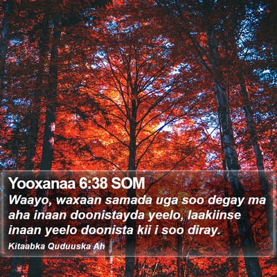Yooxanaa 6:38 SOM Bible Verse Image