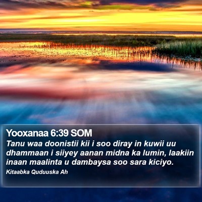 Yooxanaa 6:39 SOM Bible Verse Image