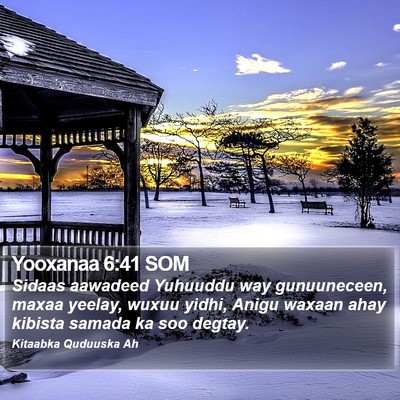 Yooxanaa 6:41 SOM Bible Verse Image