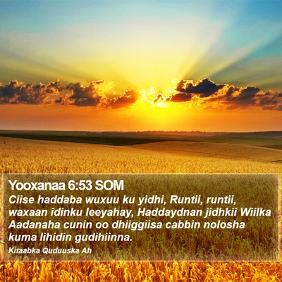 Yooxanaa 6:53 SOM Bible Verse Image