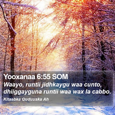 Yooxanaa 6:55 SOM Bible Verse Image