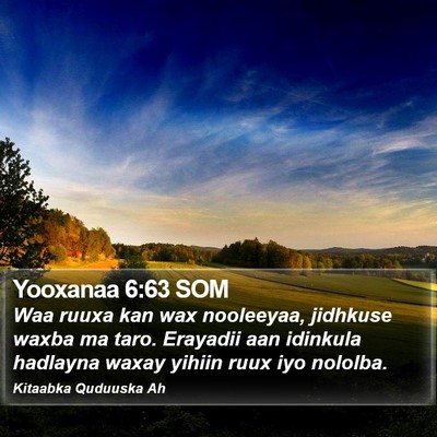 Yooxanaa 6:63 SOM Bible Verse Image
