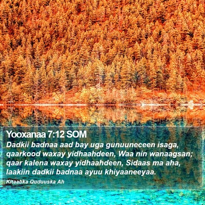 Yooxanaa 7:12 SOM Bible Verse Image