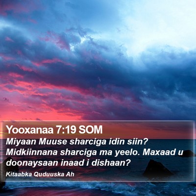 Yooxanaa 7:19 SOM Bible Verse Image