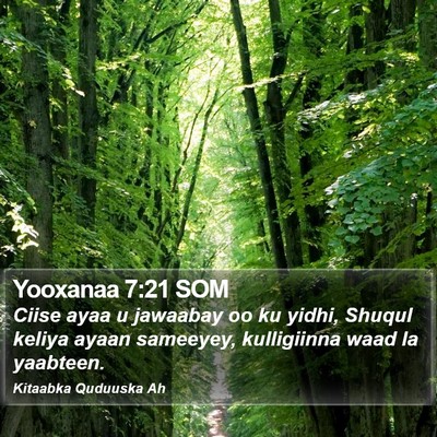 Yooxanaa 7:21 SOM Bible Verse Image