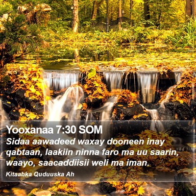 Yooxanaa 7:30 SOM Bible Verse Image