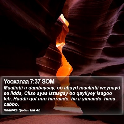 Yooxanaa 7:37 SOM Bible Verse Image