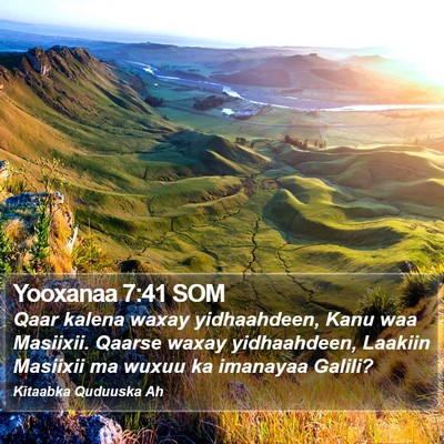 Yooxanaa 7:41 SOM Bible Verse Image