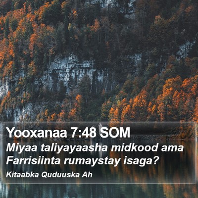 Yooxanaa 7:48 SOM Bible Verse Image