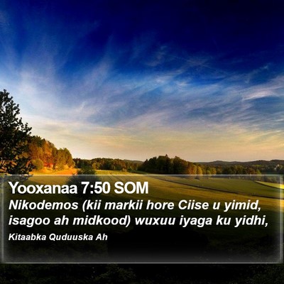 Yooxanaa 7:50 SOM Bible Verse Image