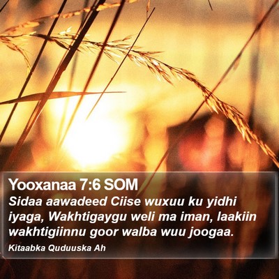 Yooxanaa 7:6 SOM Bible Verse Image