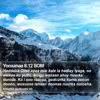 Yooxanaa 8:12 SOM Bible Verse Image