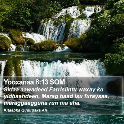 Yooxanaa 8:13 SOM Bible Verse Image