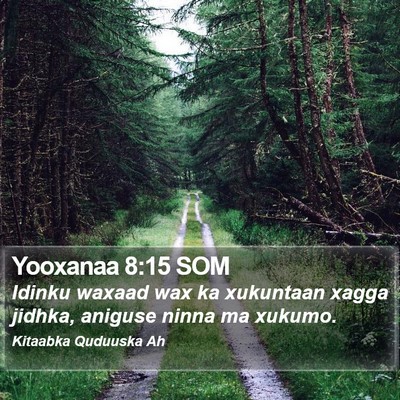 Yooxanaa 8:15 SOM Bible Verse Image