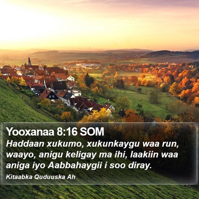 Yooxanaa 8:16 SOM Bible Verse Image