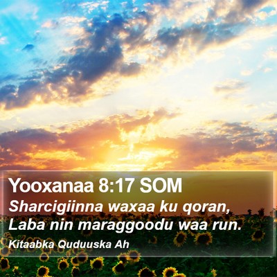 Yooxanaa 8:17 SOM Bible Verse Image