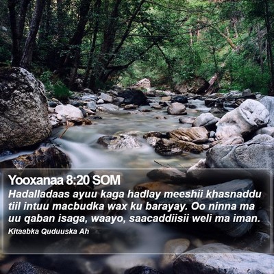 Yooxanaa 8:20 SOM Bible Verse Image