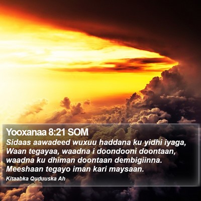 Yooxanaa 8:21 SOM Bible Verse Image