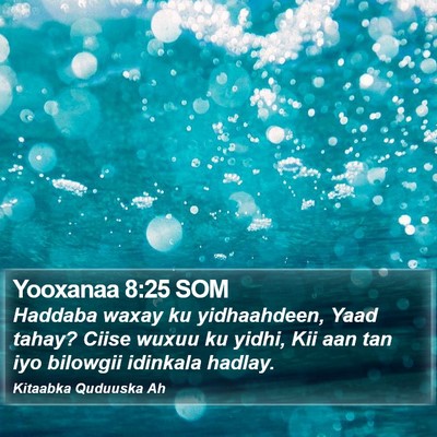 Yooxanaa 8:25 SOM Bible Verse Image
