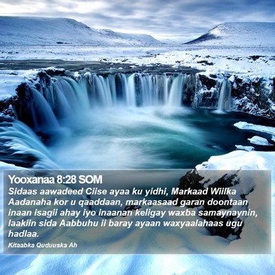 Yooxanaa 8:28 SOM Bible Verse Image