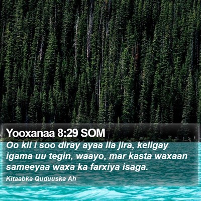 Yooxanaa 8:29 SOM Bible Verse Image