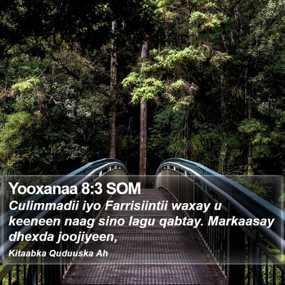Yooxanaa 8:3 SOM Bible Verse Image