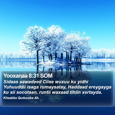 Yooxanaa 8:31 SOM Bible Verse Image