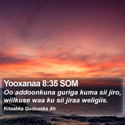 Yooxanaa 8:35 SOM Bible Verse Image