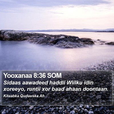 Yooxanaa 8:36 SOM Bible Verse Image