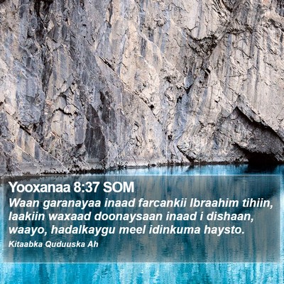 Yooxanaa 8:37 SOM Bible Verse Image