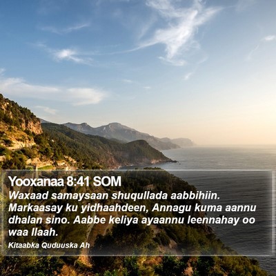Yooxanaa 8:41 SOM Bible Verse Image