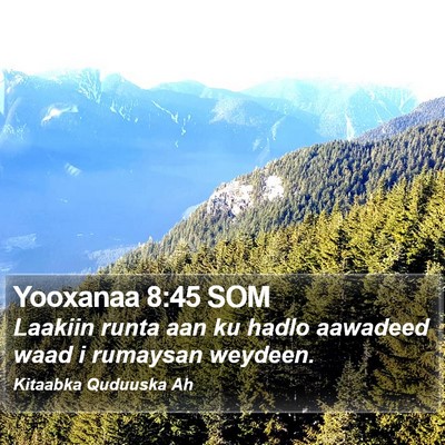 Yooxanaa 8:45 SOM Bible Verse Image