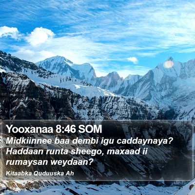 Yooxanaa 8:46 SOM Bible Verse Image