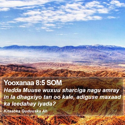 Yooxanaa 8:5 SOM Bible Verse Image