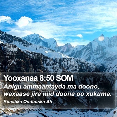 Yooxanaa 8:50 SOM Bible Verse Image