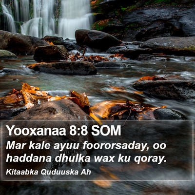 Yooxanaa 8:8 SOM Bible Verse Image